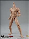 2.0 Muscular Male Body 9.8-inch version - COO Model