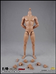 2.0 Muscular Male Body 10.6-inch version - COO Model