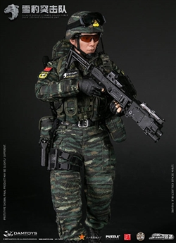 Chinese People's Armed Forces - Snow Leopard Commando Unit Team Leader - DAM Toys 1/6 Scale