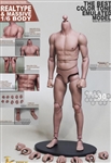 Male Nude Body - Small Version - Genesis/JX 1/6 Scale