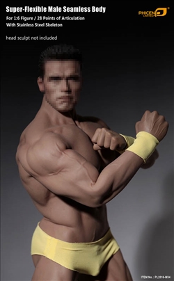 Phicen Limited Seamless Male Bodybuilder Figure with Stainless Steel Skeleton - 1/6 Scale Body