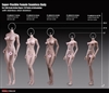 Super-Flexible Female Body Style 27B - Phicen/TBLeague 1/6 Scale Figure