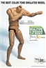 Male Muscular Figure Best Color Tone Body - JX Toys 1/6 Scale