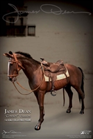 Horse for James Dean - Star Ace 1/6 Scale Figure Accessory