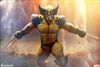 Wolverine - Premium Format Figure - Sideshow 1/4 Scale