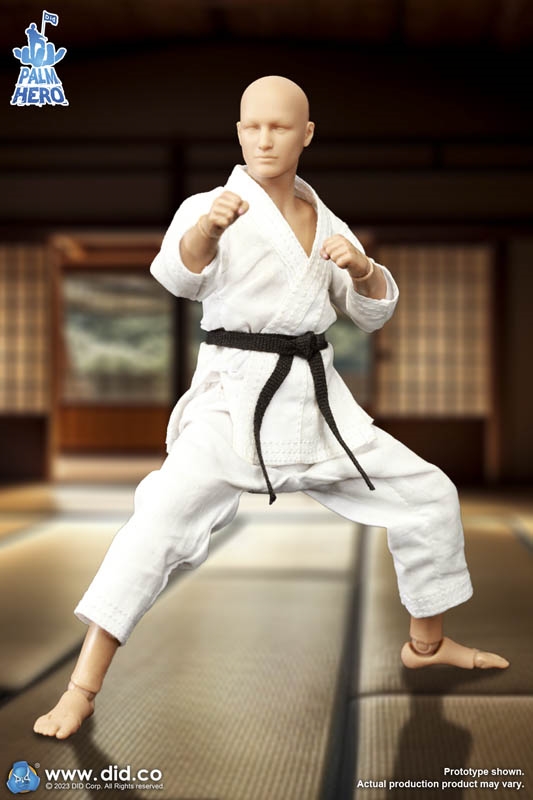 The Karate Player - Simply Fun Series - DiD 1/12 Scale Figure