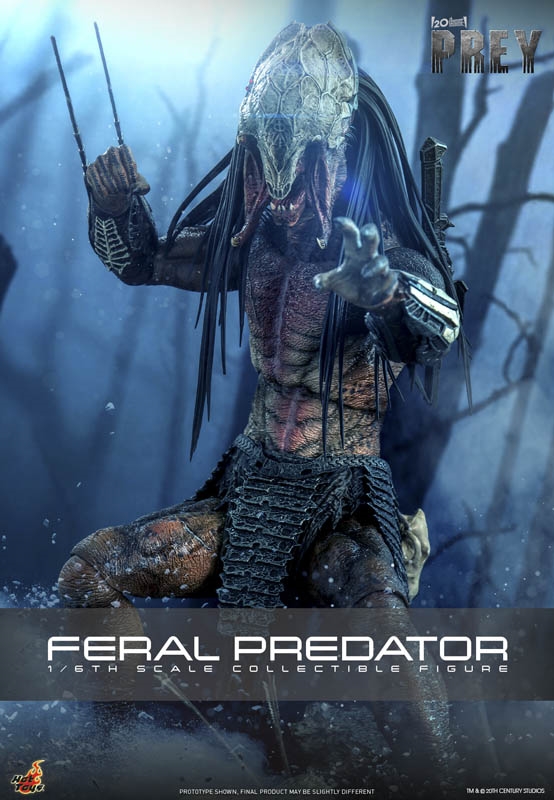 Feral Predator - Prey - Hot Toys TMS114 1/6 Scale Figure