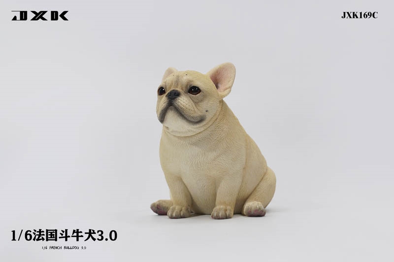 French Bulldog 3.0 - Version C - JXK 1/6 Scale Figure Accessory