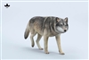 Common Gray Wolf A - Four Color Versions - JXK 1/6 Scale Figure