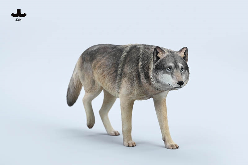 Common Gray Wolf A - Four Color Versions - JXK 1/6 Scale Figure