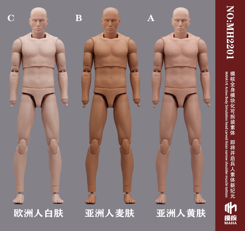 Narrow Shoulder Body - Three Versions - MAHA Studio 1/6 Scale Figure