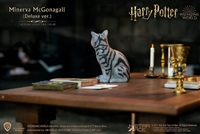Minerva McGonagall Accessories Pack - Harry Potter - Star Ace 1/6 Scale Figure