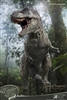 Tyrannosaurus Rex - Wonders of the Wild - Star Ace Statue
