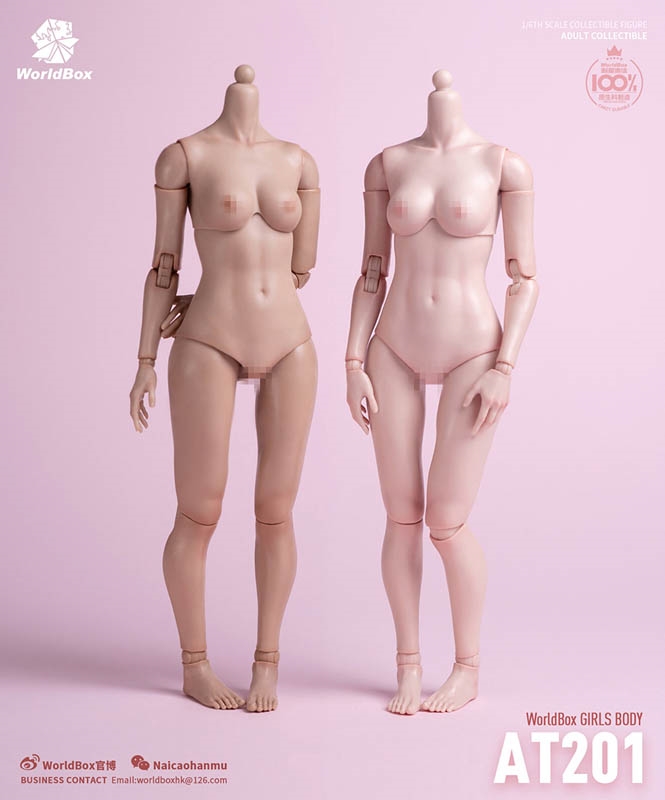 Girl Body 26CM - Two Versions - World Box 1/6 Scale Figure