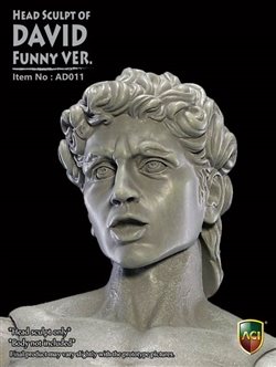 David Funny Head Sculpt - Marble Color - ACI 1/6 Articulated Statue