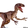 Velociraptor - Jurassic Park - Chronicle Collectibles 1/6 Scale Figure