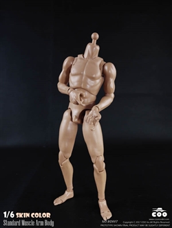 Standard Muscle Body - 25cm - CM Toys 1/6 Scale
