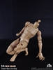 Standard Muscle Body - 27cm - CM Toys 1/6 Scale