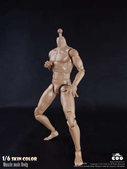 Muscle Male Body - 25cm - CM Toys 1/6 Scale