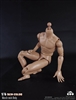 Muscle Male Body - 27cm - CM Toys 1/6 Scale