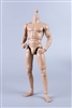 Muscled Male Body MB003 - COO Model 1/6 Scale