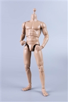 Muscled Male Body MB003 - COO Model 1/6 Scale