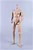 Tall Muscled Male Body MB004 - COO Model 1/6 Scale