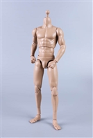 Tall Muscled Male Body MB004 - COO Model 1/6 Scale