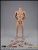 2.0 Muscular Male Body 10.6-inch version - COO Model
