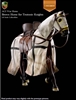 War Horse - Teutonic Brown - ACI  1/6 Scale Figure - CONSIGNMENT