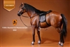 Hanoverian Horse - 017HH Model 002 in Brown - Mr Z 1/6 Scale Figure-  - CONSIGNMENT