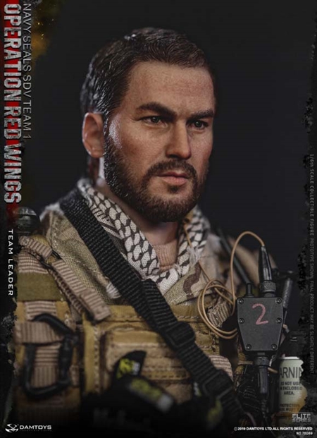 DAMTOYS 78069 1:6 Operation Red Wings Navy Seals SDV Team 1 Leader for sale online 