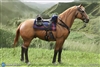 Brown-Red War Horse - DiD 1/6 Scale Figure