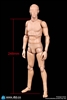 All New Advanced Body - Slim Version - DiD 1/6 Scale Figure