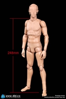 All New Advanced Body - Slim Version - DiD 1/6 Scale Figure