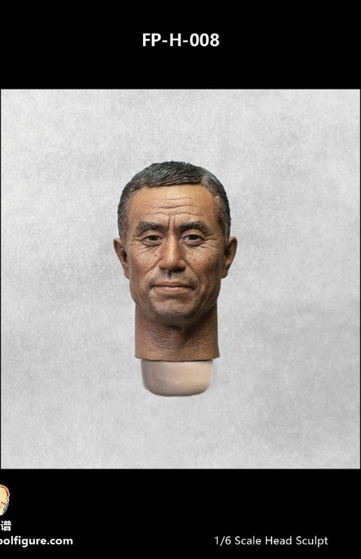 Expression Heads - H8 - Facepool 1/6 Scale Head Sculpt