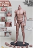 Male Nude Body - Small Version - Genesis/JX 1/6 Scale