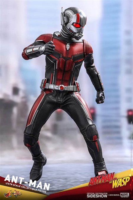 HOT TOYS 1/6 MARVEL ANT-MAN MMS308 ANT-MAN SCOTT LANG MOVIE ACTION