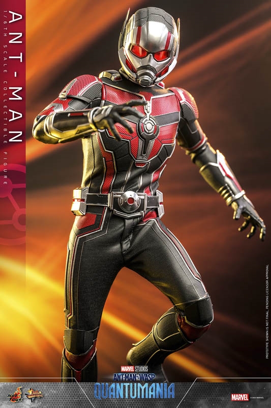 Nouvelle - Ant-Man and the Wasp: Quantumania : Explore the Quantum Realm  with Hot Toys