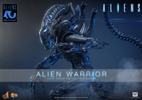 Alien Warrior - Aliens 40th Anniversary - Hot Toys MMS898 1/6 Scale Figure