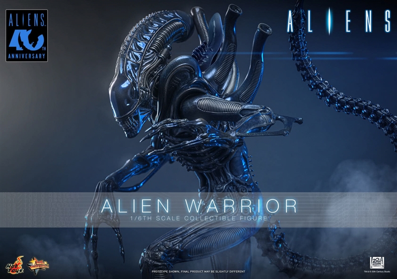 Alien Warrior - Aliens 40th Anniversary - Hot Toys MMS898 1/6 Scale Figure