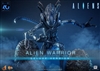Alien Warrior Deluxe - Aliens 40th Anniversary - Hot Toys MMS899 1/6 Scale Figure