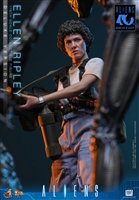 Ellen Ripley Deluxe Version - Aliens 40th Anniversary - Hot Toys MMS895 1/6 Scale Figure