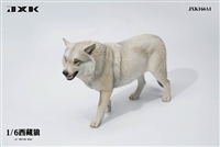 Tibetan Wolf - Version A without Pack - JXK 1/6 Scale Figure Accessory