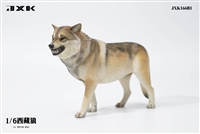 Tibetan Wolf - Version B without Pack - JXK 1/6 Scale Figure Accessory