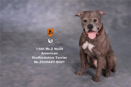 American Staffordshire Terrier - Version 002 - Mr Z 1/6 Scale Accessory