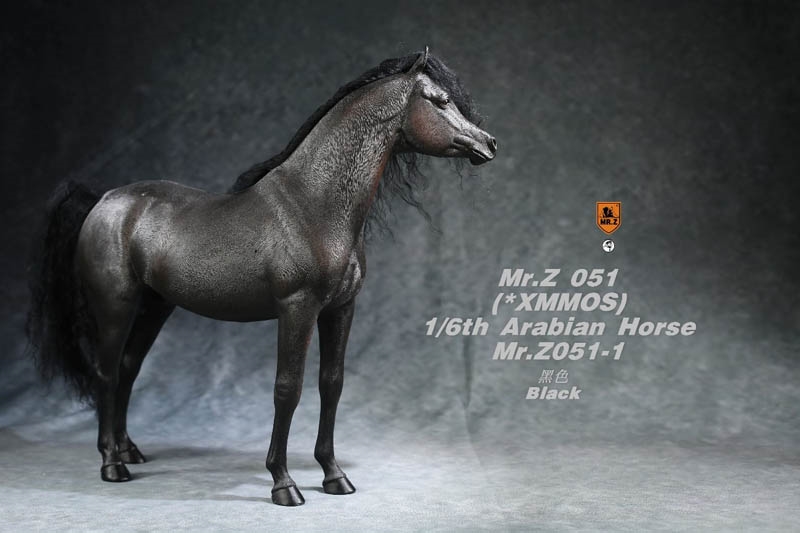 Arabian Horse - Five Versions - Mr. Z 1/6 Scale Animal Model