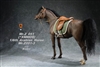 Arabian Horse + Harness - Five Versions - Mr. Z 1/6 Scale Animal Model