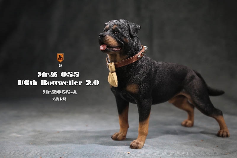 Rottweiler 2.0 - Version A - Mr. Z 1/6 Scale Figure Accessory