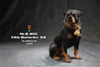 Rottweiler 2.0 - Version B - Mr. Z 1/6 Scale Figure Accessory